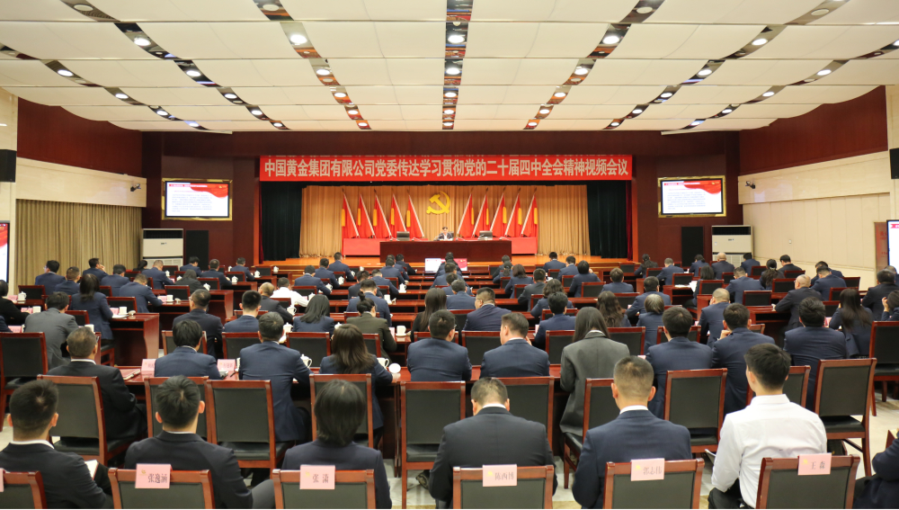 中国黄金集团党委召开传达学习贯彻党的二十届四中全会精神视频会
